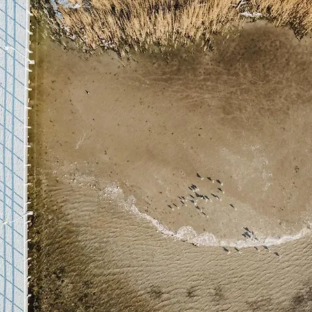 Blueapart Verano 公寓