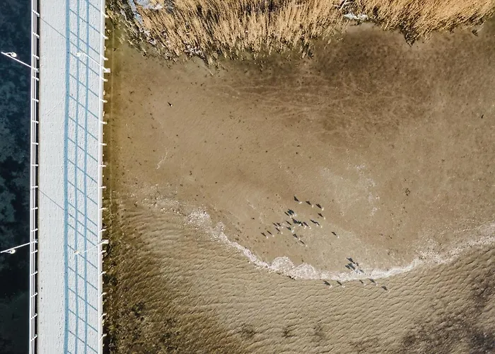 Blueapart Verano Апартаменты